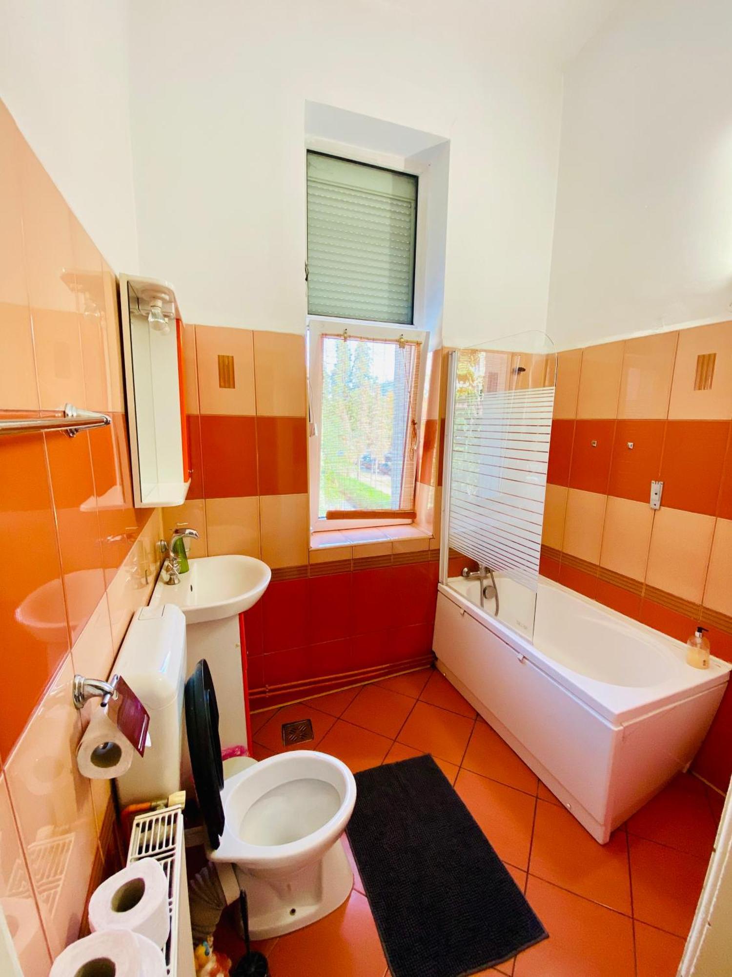 Central 2 Bedrooms Apartment Brasov Ngoại thất bức ảnh